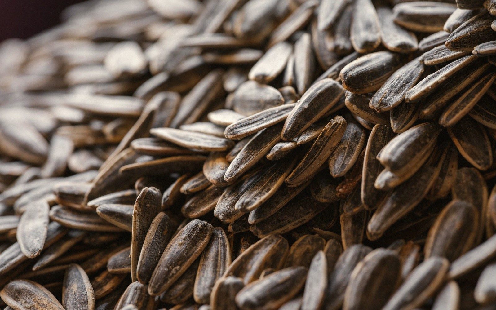 Toast Your Seeds (It Changes Everything)